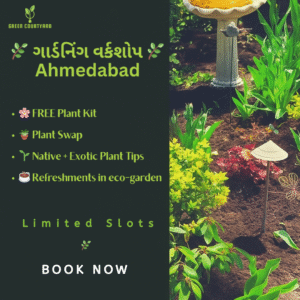 digital marketing consultant